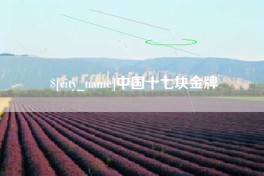铜川中国十七块金牌