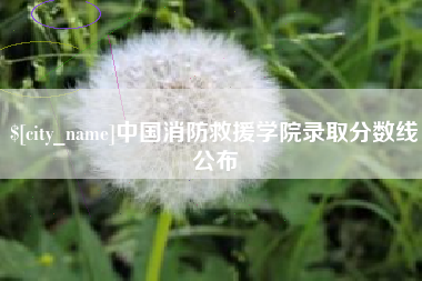 铜川中国消防救援学院录取分数线公布