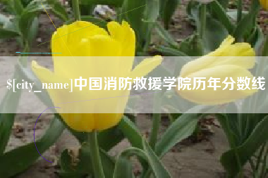 铜川中国消防救援学院历年分数线