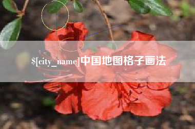 铜川中国地图格子画法
