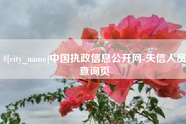 铜川中国执政信息公开网-失信人员查询页