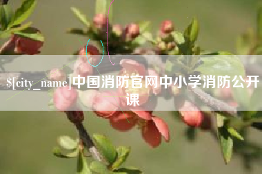 铜川中国消防官网中小学消防公开课