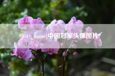 铜川中国冠军头像图片
