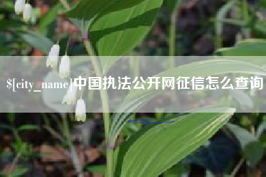 铜川中国执法公开网征信怎么查询