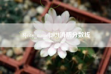 铜川2021消防分数线