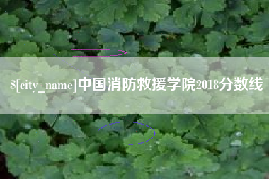 铜川中国消防救援学院2018分数线