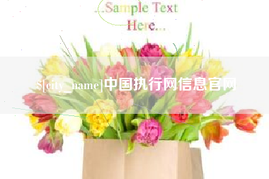 铜川中国执行网信息官网