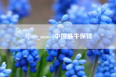 铜川中国最牛保镖
