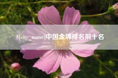 铜川中国金牌排名前十名