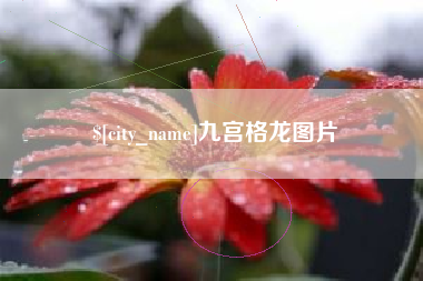 铜川九宫格龙图片