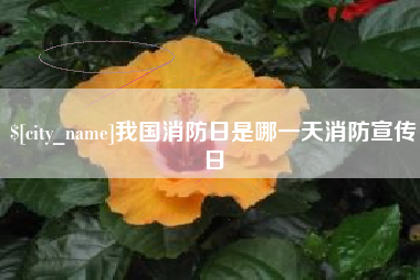 铜川我国消防日是哪一天消防宣传日