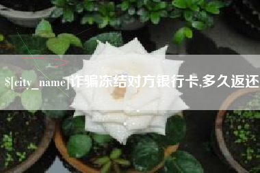 铜川诈骗冻结对方银行卡,多久返还