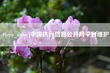 铜川中国执行信息公开网平台维护