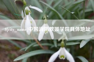 铜川中国消防救援学院具体地址