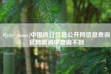 铜川中国执行信息公开网信息查询官网限消中查询不到