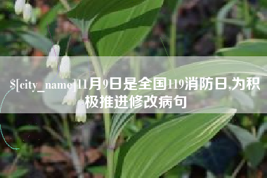 铜川11月9日是全国119消防日,为积极推进修改病句