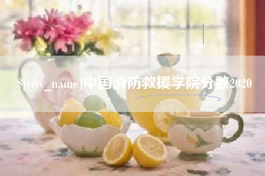 铜川中国消防救援学院分数2020