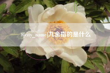 铜川九金指的是什么