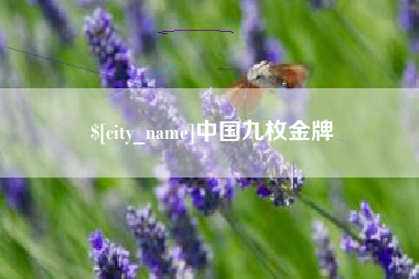 铜川中国九枚金牌