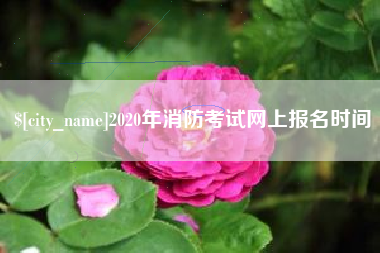 铜川2020年消防考试网上报名时间