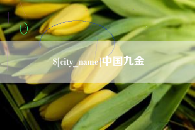 铜川中国九金