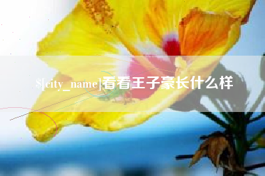 铜川看看王子豪长什么样