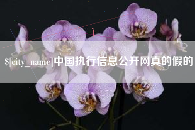 铜川中国执行信息公开网真的假的