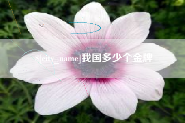 铜川我国多少个金牌