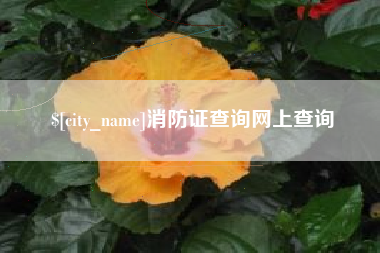 铜川消防证查询网上查询