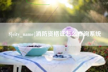 铜川消防资格证怎么查询系统