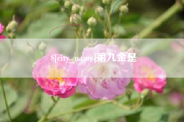 铜川第九金是