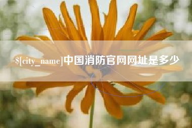 铜川中国消防官网网址是多少