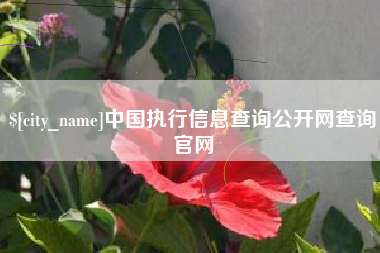 铜川中国执行信息查询公开网查询官网