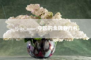 铜川中国的金牌有几名