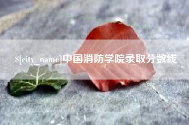 铜川中国消防学院录取分数线