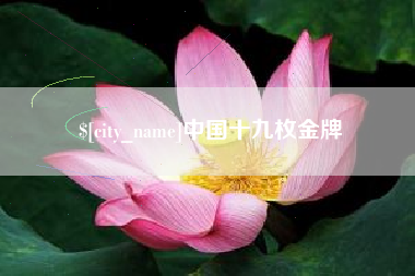 铜川中国十九枚金牌