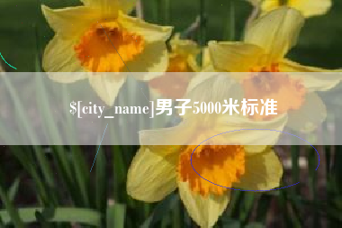 铜川男子5000米标准