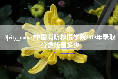 铜川中国消防救援学院2019年录取分数线是多少