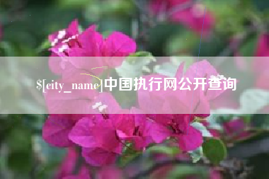 铜川中国执行网公开查询