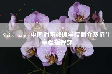 铜川中国消防救援学院简介及招生章程指挥部