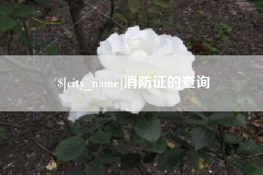 铜川消防证的查询