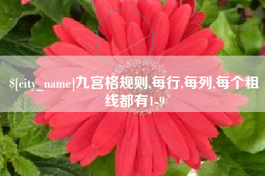 铜川九宫格规则,每行,每列,每个粗线都有1-9