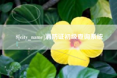 铜川消防证初级查询系统