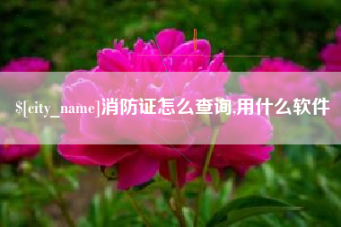 铜川消防证怎么查询,用什么软件