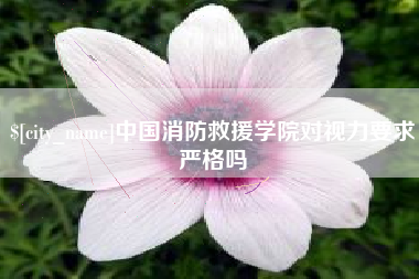 铜川中国消防救援学院对视力要求严格吗
