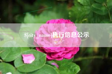 铜川执行信息公示