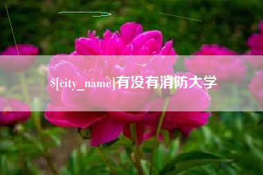 铜川有没有消防大学