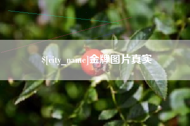 铜川金牌图片真实