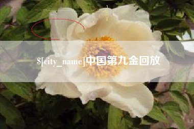 铜川中国第九金回放