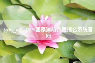 铜川2020国家消防救援报名系统官网